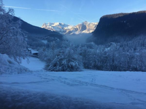 Vallée de Chamonix au pied des pistes